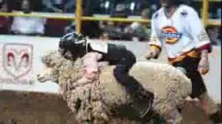 Take Your RAM to the Rodeo | San Antonio Dodge Chrysler Jeep RAM in San Antonio