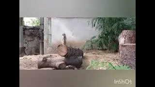 Вроцлавський зоопарк