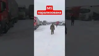 М5 парализована. 21 января 2024. 