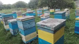 14 августа Медовый Спас. Всех с Праздником.