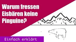 Warum fressen Eisbären keine Pinguine? Einfach erklärt!