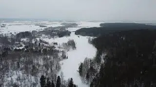 06.02.2021 Ларинский заказник, река Тугояковка / полет над лесом на DJI Mini 2