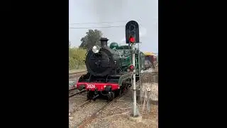 Out of the fog, Steam loco 3526 arrives.  #trains #steamtrain