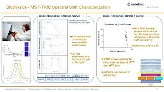 Versatile Hit-Finding Strategies for Successful Drug Discovery Programs