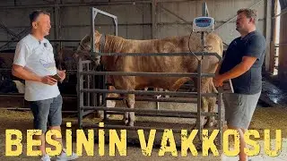 BESİNİN VAKKOSU
