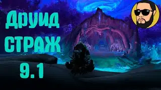 ГАЙД ДРУИД СТРАЖ 9.1 ШАДОУЛЕНДС, ТАЛАНТЫ, РОТАЦИЯ, ЛЕГЕНДАРКИ НА ТАНКА! ТОП ТАНК ШАДОУЛЕНДС