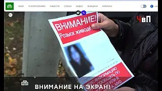 Доксеры и сваттеры