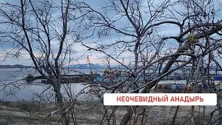 Неочевидный Анадырь