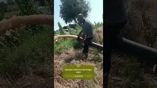 #uzolamtv Bokadan  kelgan video #uzolamtv