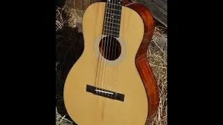 "Raptor Night Hunt" on Eastman E10P Parlor Guitar