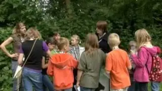 Kinder wissen mehr! - Kühe