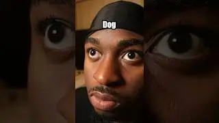 Dog buttons 2 