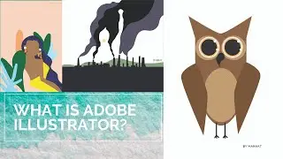 What Is Adobe Illustrator?