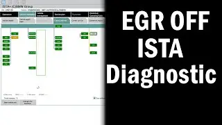 Remapped EGR OFF diagnostic readings #ista #egr #egroff #bmw #n47 #n57