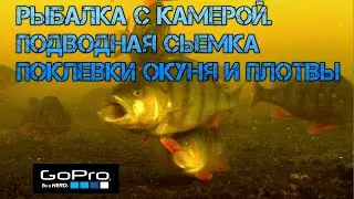 Рыбалка с камерой. Подводная съёмка поклевки  окуня и плотвы.