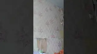 24 июня 2023 г.