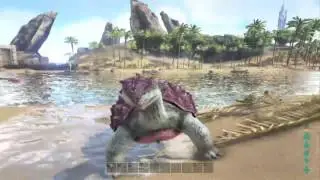 Ark Survival Fun w(phillip)