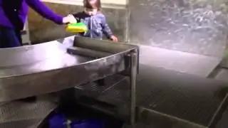 Мюнхен немецкий музей