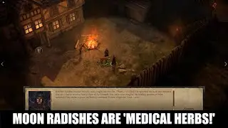 #10 Moon Radishes are Morphene! Pathfinder Kingmaker Mega Mod One Man Show