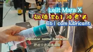 Lelit lubricant on Level cam shaft | 润滑油脂开关阀 | E61 group head maintenance