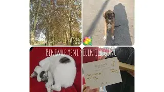 Sessiz Vlog ✨ Yeni Yılın İlk (iş) Günü | Kargo Açılımı | Sohbet Muhabbet | Sümeyye 💐