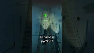 ‘’Русский и иностранец!’’ Чс7-????с фирменным поездом Москва-Минск и чс2т-1004 с белорусским