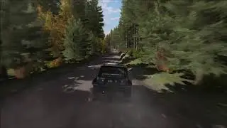 DiRT Rally Barrel Roll
