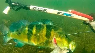 PESCA SUB 2016 - RIO TIETÊ 10 - EQUIPE ATASUB