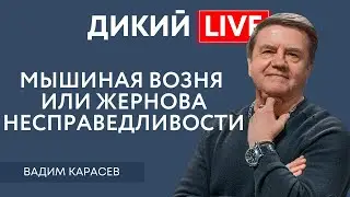 Страна нуждается в передышке… Вадим Карасев. Дикий LIVE.