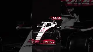 F1 HAAS VF-23 Livery 