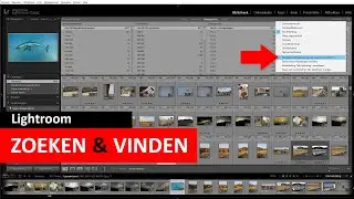 Lightroom Classic | Foto's zoeken en vinden (Dutch)
