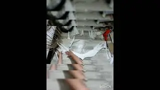 Крылья из зефирного фоамирана