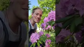 Кирилл Кветка: видео о создании парка. Для конкурса 
