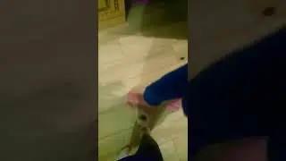 АХАХАХА