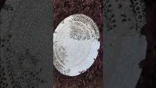 Mirror mosaic mandala by shwetaart03