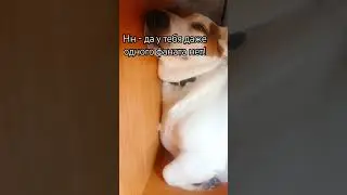 (не давлю на жалость) #roblox #котики #beats #funny #мем #music #дуэт #dubstep #memes #жиза #shorts