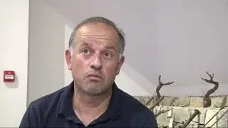 Grozd: Putevi vina