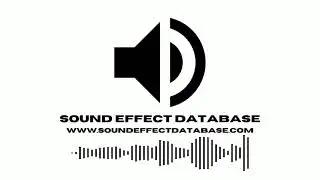Bird Ambience With Light Wind Sound Effect
