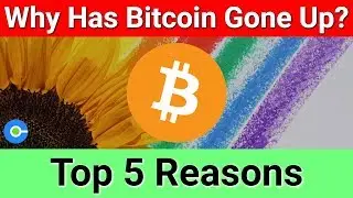 Top 5 Reasons: Why Has Bitcoin Gone Up?