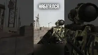 Гончий наелся и спит😴 #shorts #сталкер #сталкрафт #игры #minecraft #gaming #stalcraft #games