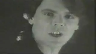 SILVER POZZOLI - Around my Dream