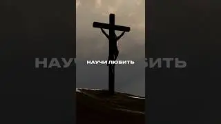 18 июня 2024 г.