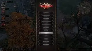 Divinity: Original Sin 2 [сложность: Тактика] ч.1