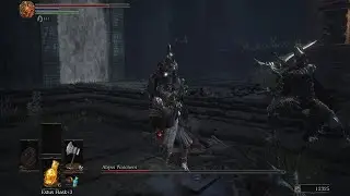 Abyss watchers got bonked