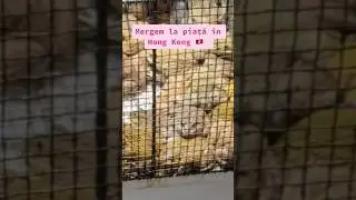 Mergem la piață în Hong Kong
