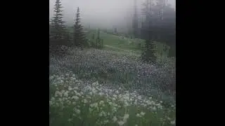 (FREE) Corbin x Joji x Alternative Type Beat 