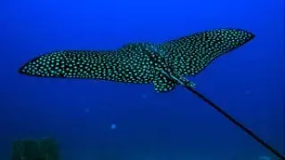 Энергии разности глубин (видео №17). Фотодиоды.
