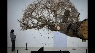 Contemporary art exhibition stuns public in Beijing