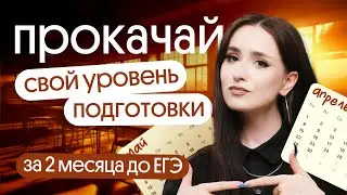 Что делать за 2 месяца до ЕГЭ по обществознанию?