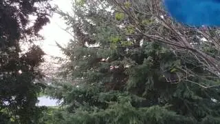 Sun setting time lapse - 2 hours in 2 minutes [LG G6]